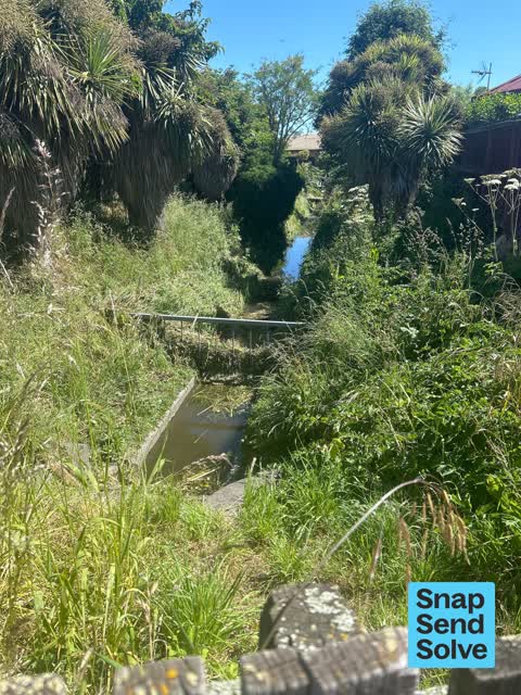 Overgrown Vegetation, a report photo