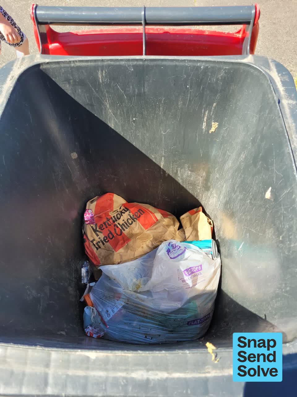 The photograph attached to this rubbish and bins - general report
