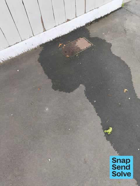 Water Leak, a report photo
