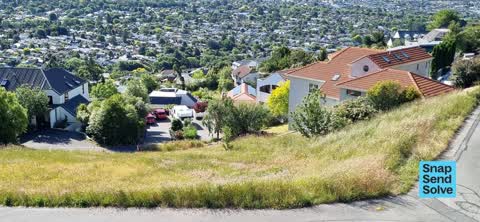 Overgrown Vegetation, a report photo