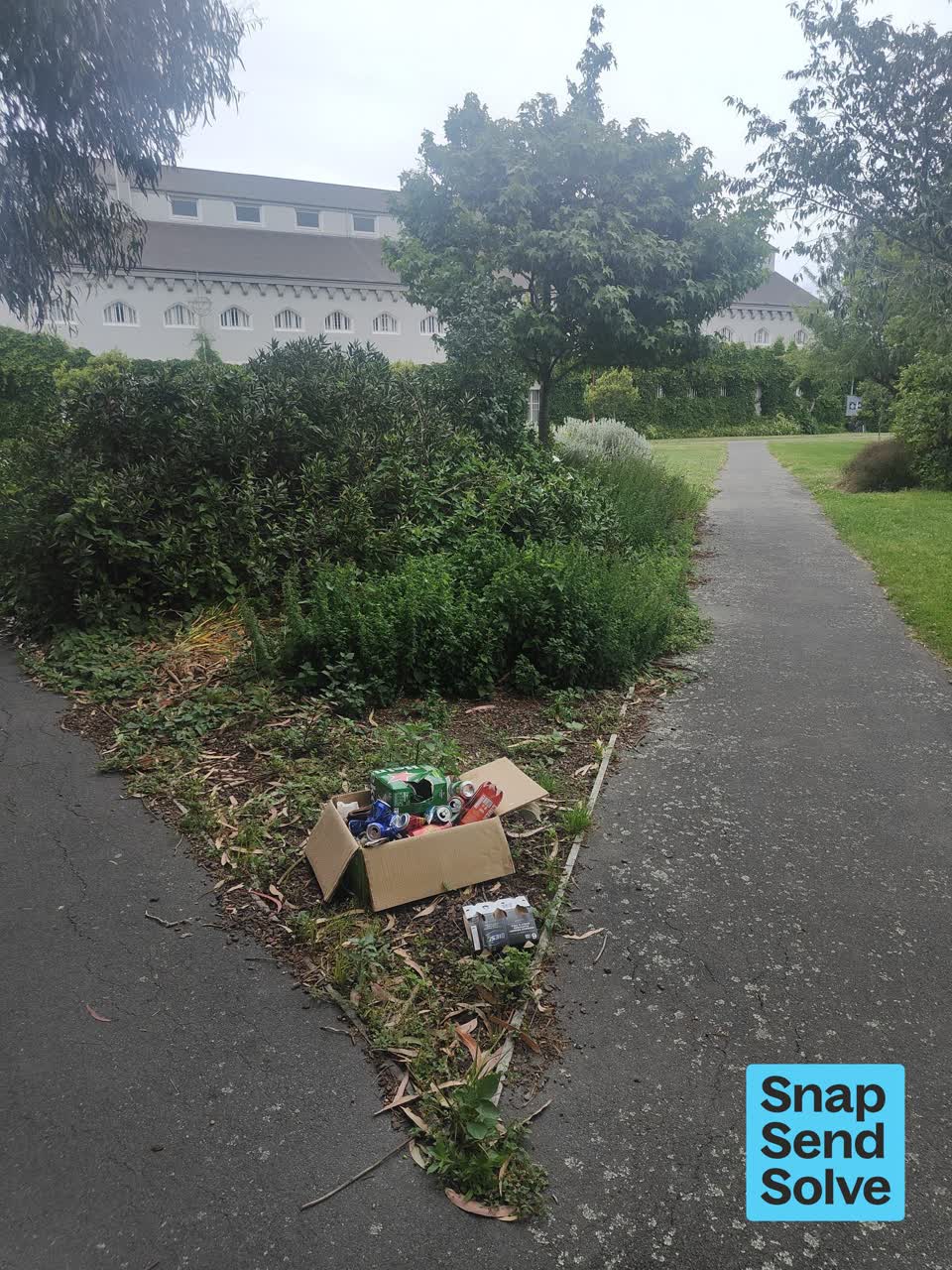 The photograph attached to this dumped rubbish report