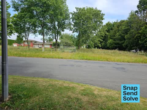 Overgrown Vegetation, a report photo