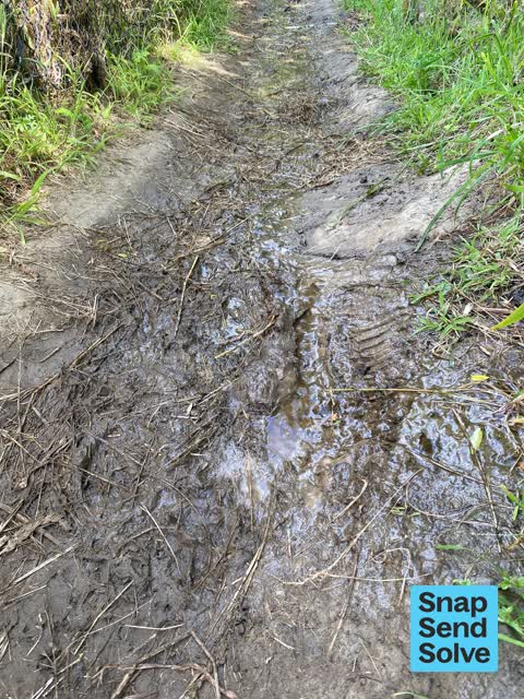 Water Leak, a report photo