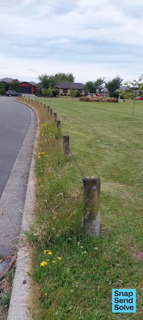 Overgrown Vegetation, a report photo