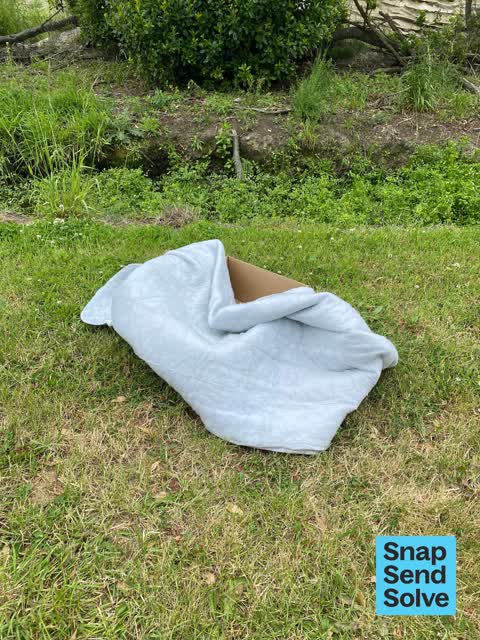 Litter, a report photo