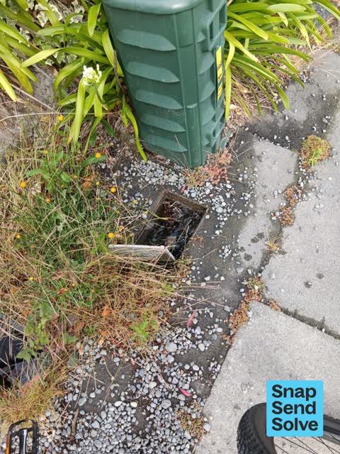 Water Leak, a report photo
