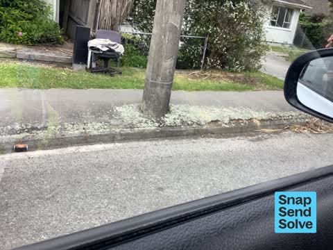 Dumped Rubbish, a report photo