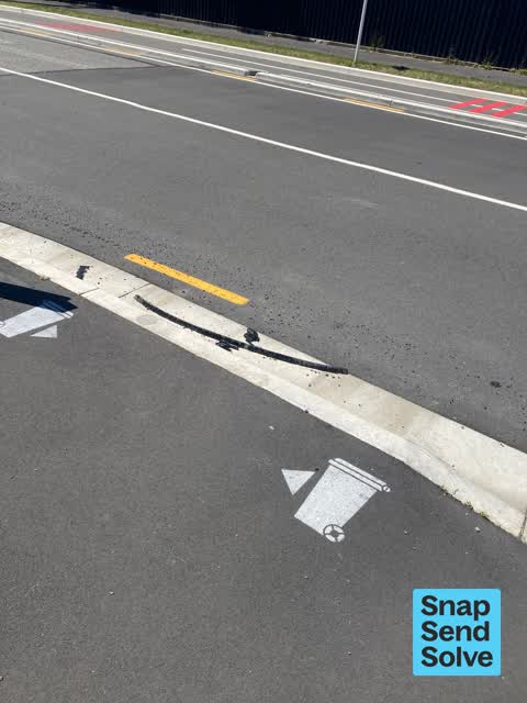 Litter, a report photo