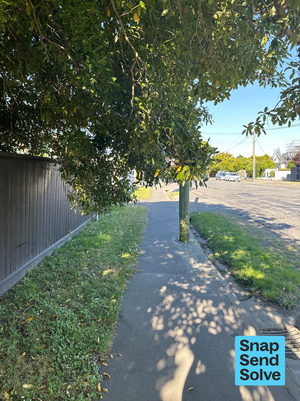 The photograph attached to this overgrown vegetation report