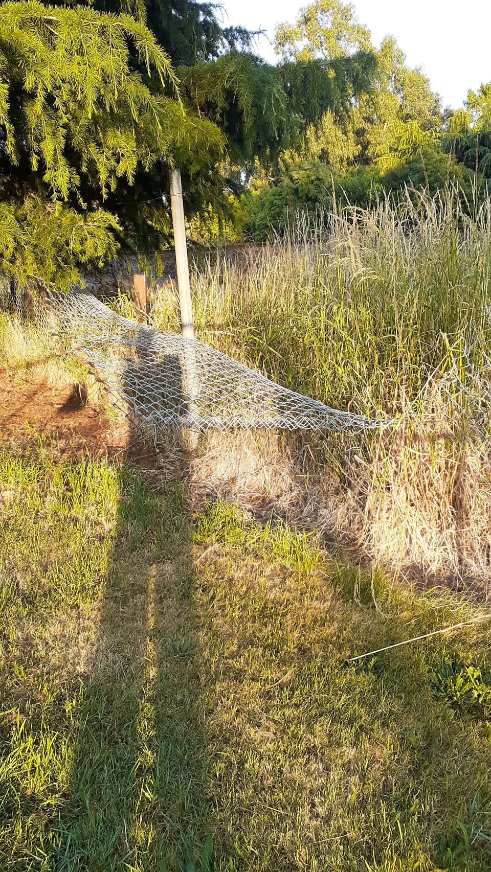 The photograph attached to this facility - general request report