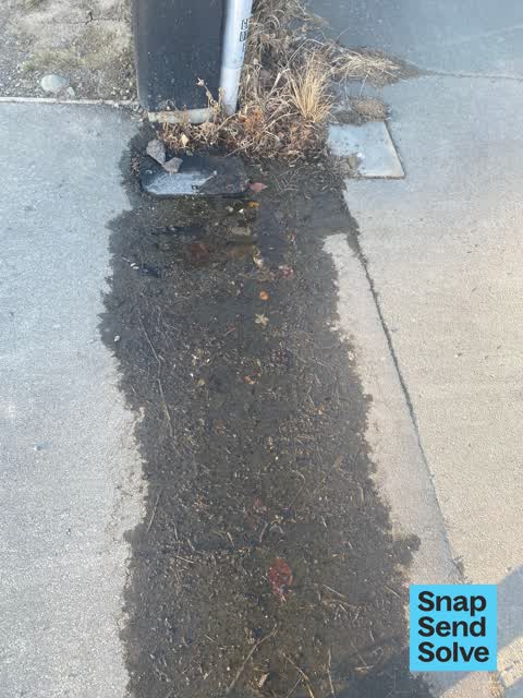 Water Leak, a report photo
