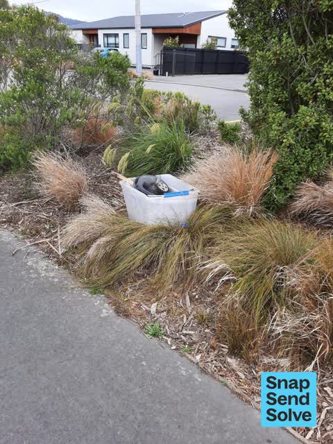 Dumped Rubbish, a report photo