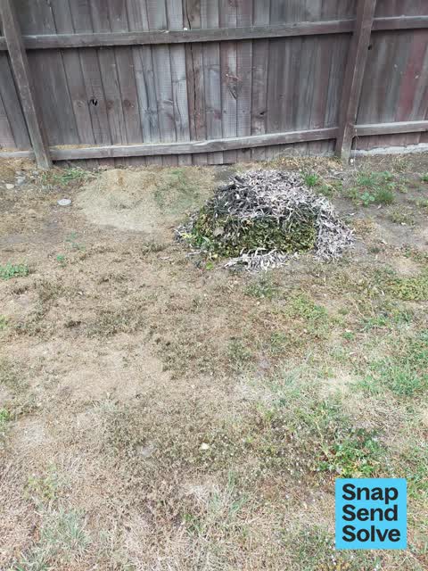 Park - General Request, a report photo
