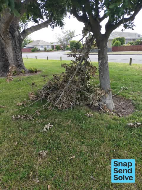 Park - General Request, a report photo