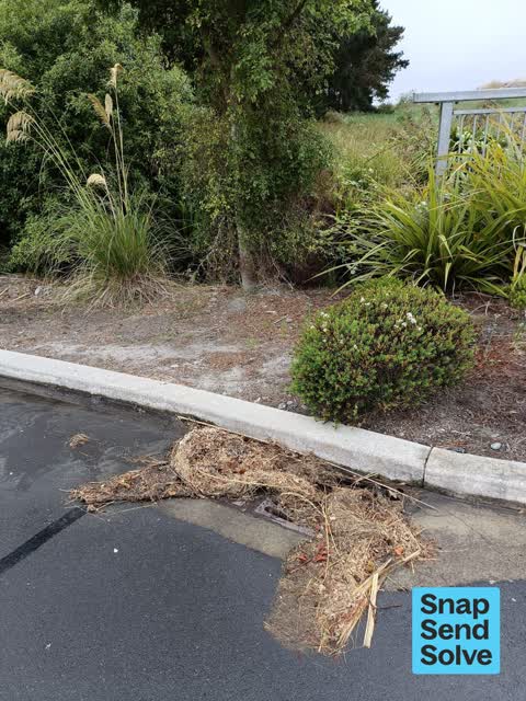 Street Gutters / Storm Water, a report photo