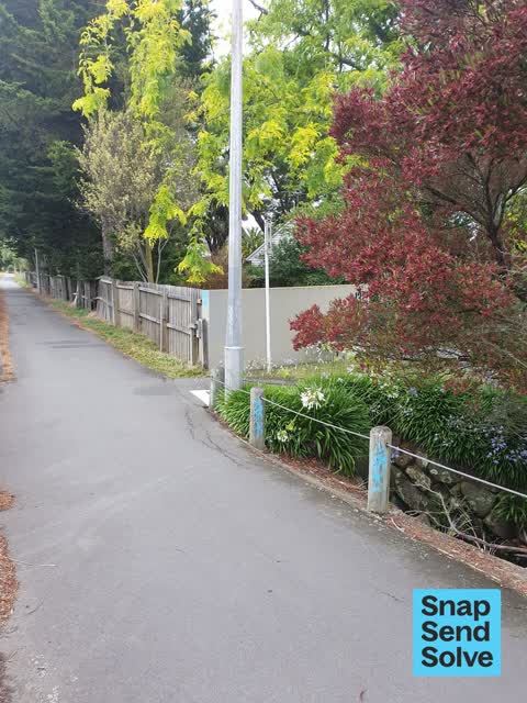 General Request, a report photo