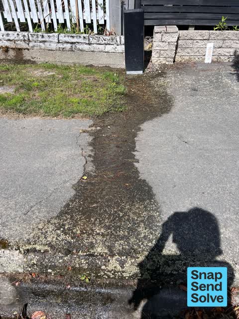 Water Leak, a report photo