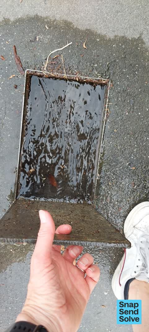 Water Leak — a report photo