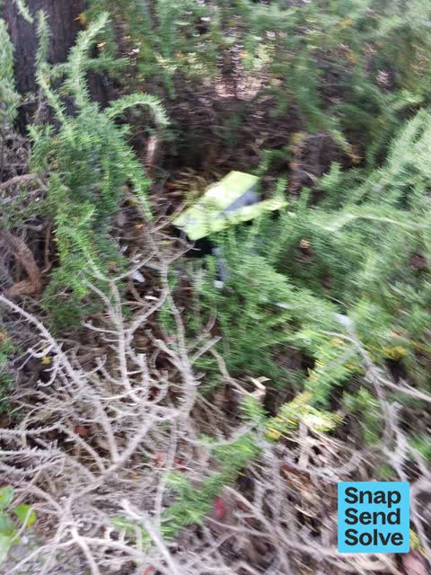 Dumped Rubbish, a report photo