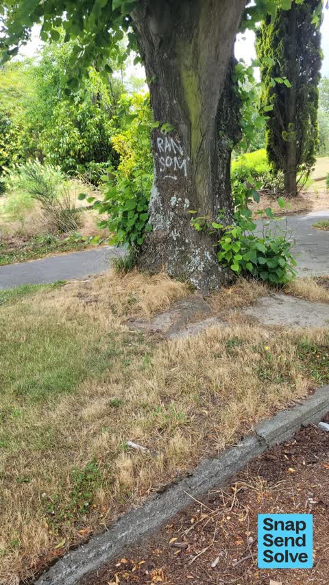 Graffiti — a report photo