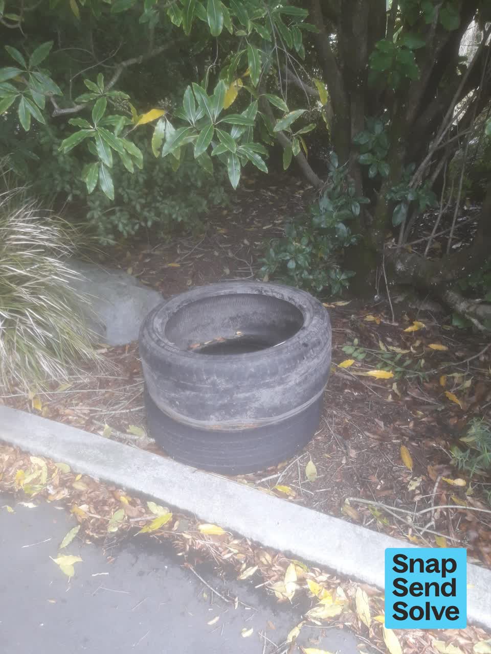 The photograph attached to this dumped rubbish report