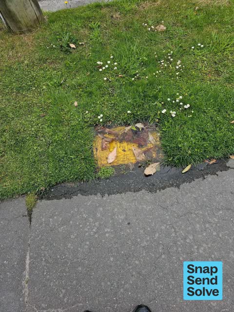 Water Leak, a report photo