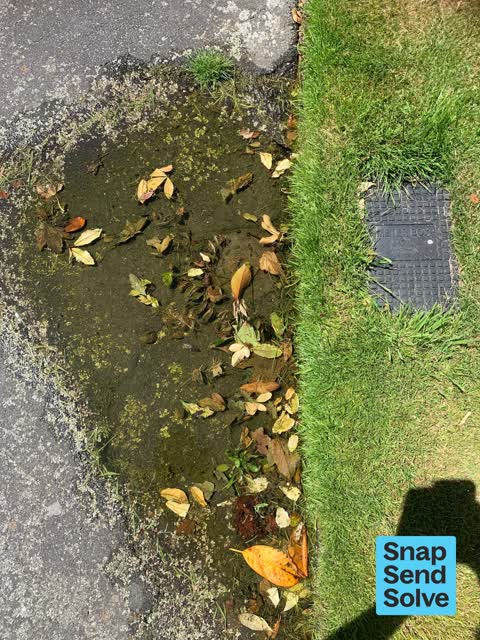 Water General, a report photo