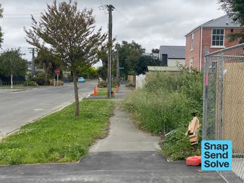 Overgrown Vegetation, a report photo