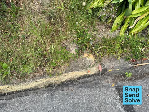 Street Gutters / Storm Water, a report photo