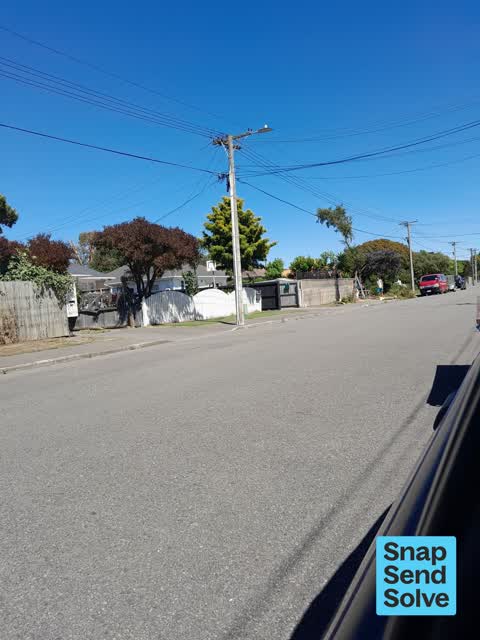 Trees - General, a report photo
