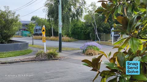 Overgrown Vegetation, a report photo