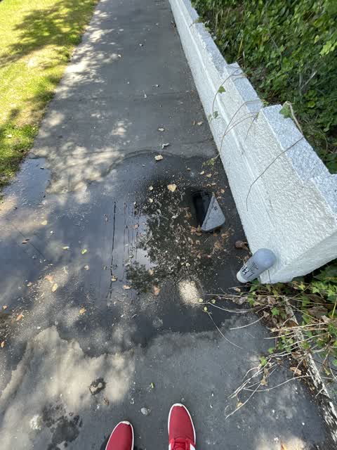 Water Leak, a report photo
