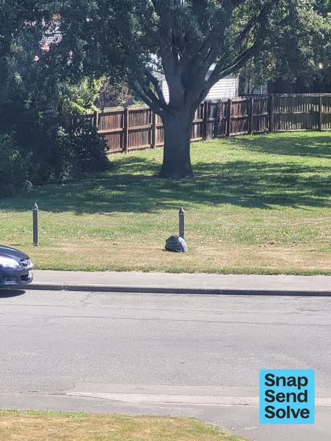 Dumped Rubbish, a report photo