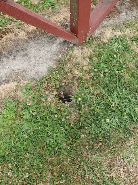 Pothole, a report photo