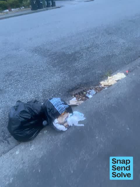 Dumped Rubbish, a report photo