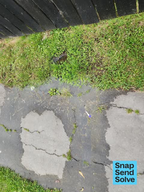 Water Leak, a report photo