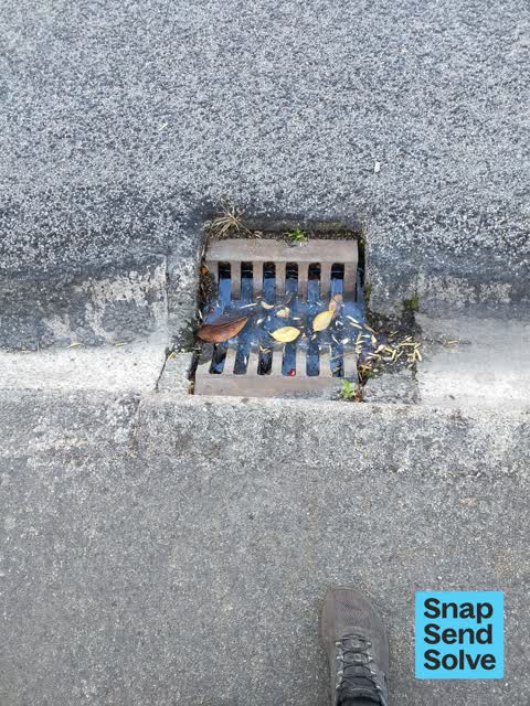 Street Gutters / Storm Water, a report photo