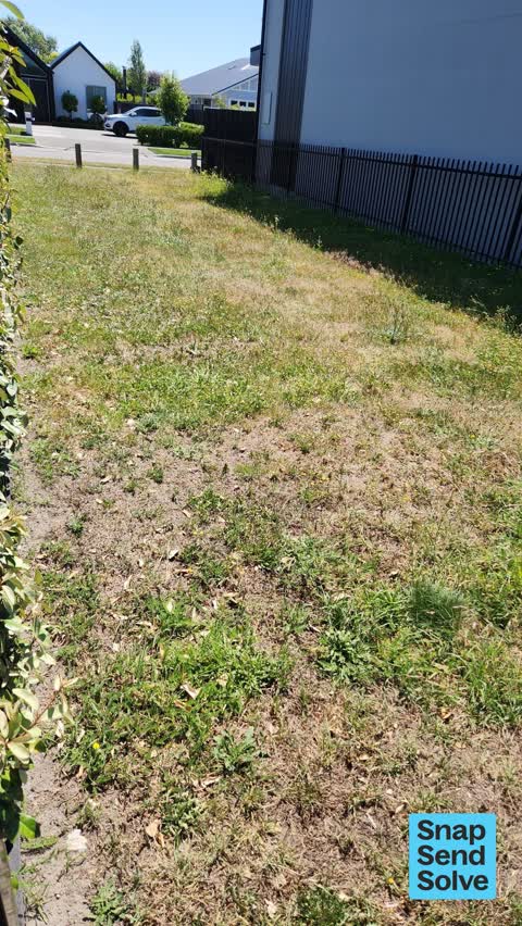 Overgrown Vegetation, a report photo