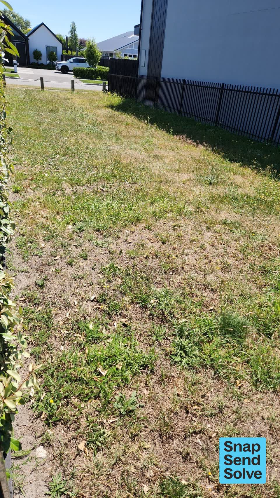 The photograph attached to this overgrown vegetation report