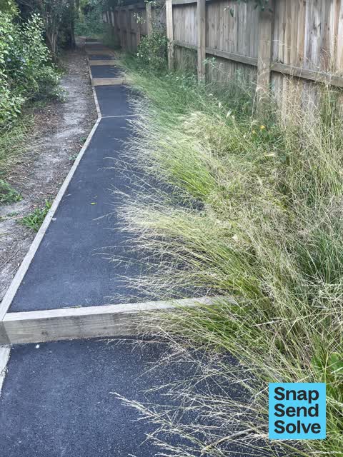 Overgrown Vegetation, a report photo