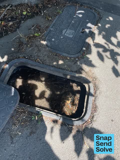 Water Leak, a report photo