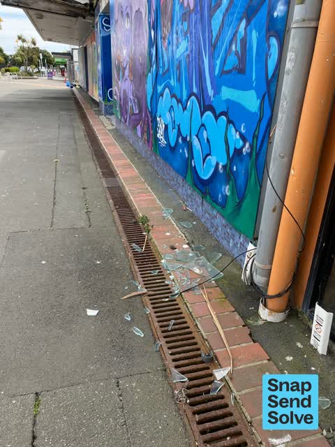 General Request, a report photo