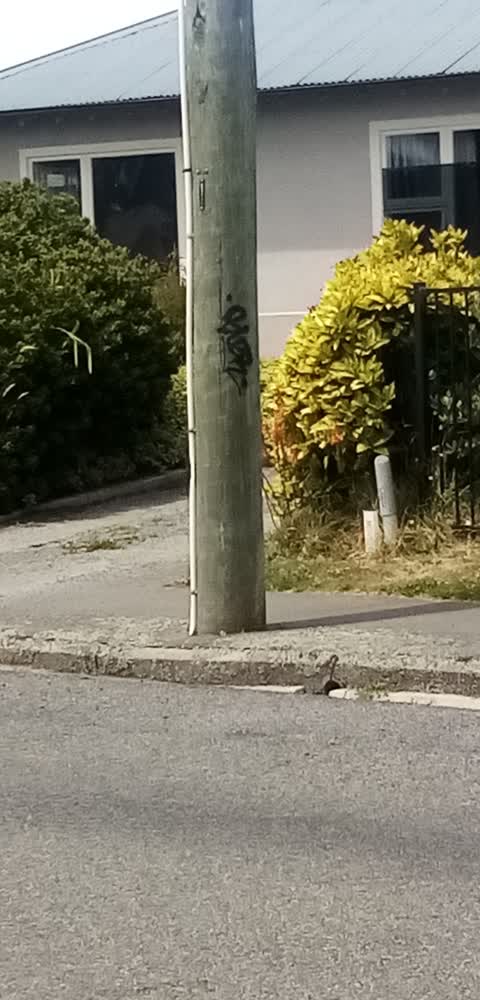 Graffiti, a report photo