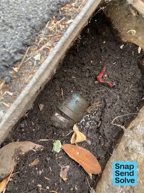 Water Leak, a report photo