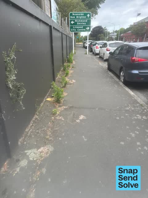 Overgrown Vegetation, a report photo