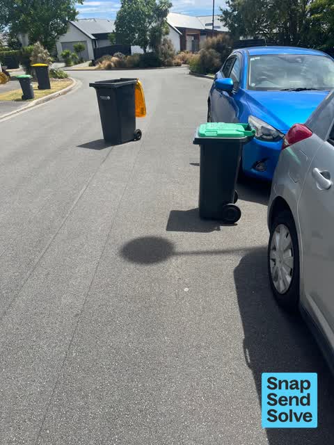 Rubbish and Bins - General, a report photo