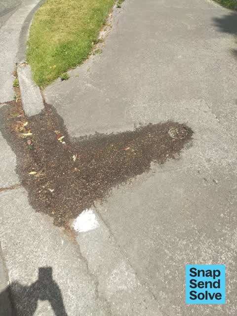 Water Leak, a report photo