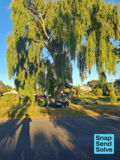 Dumped Rubbish, a report photo