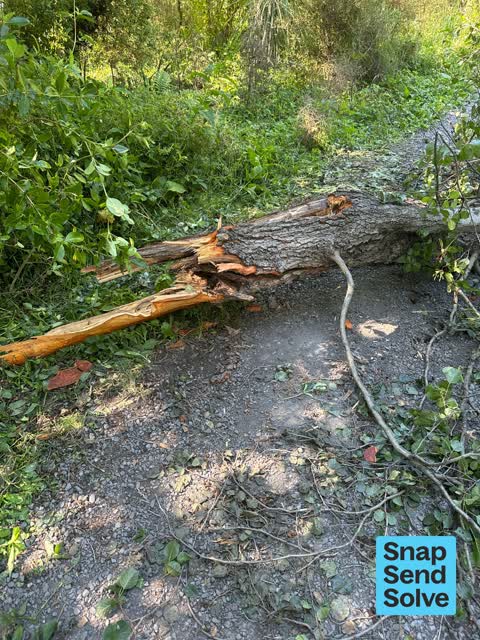 Park - General Request, a report photo