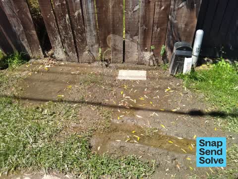 Water Leak, a report photo